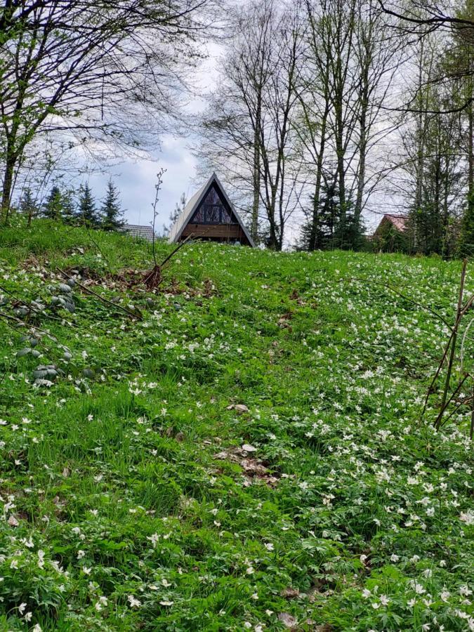U Hanki Żywiec Dış mekan fotoğraf